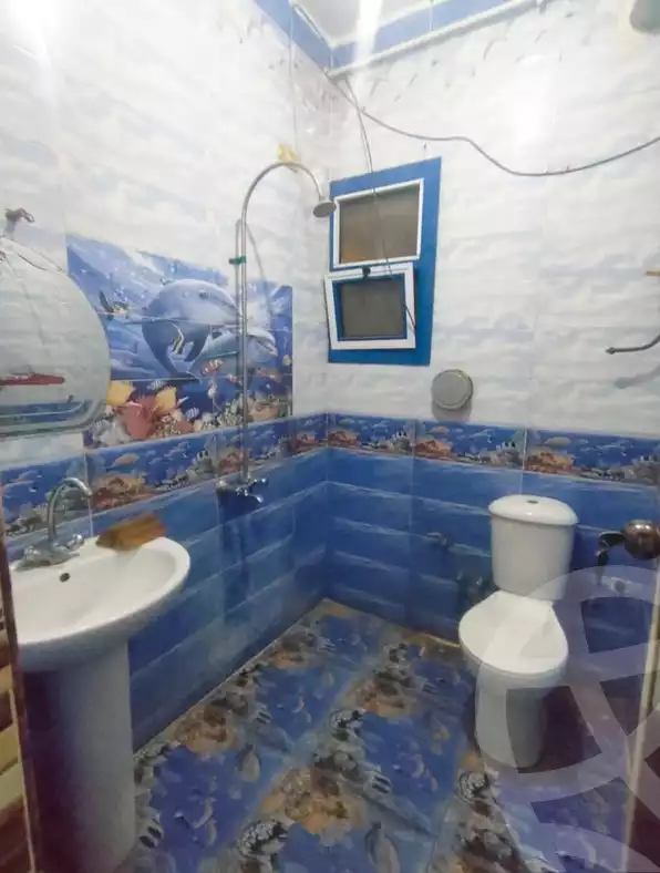 https://aqarmap.com.eg/en/listing/5668788-for-rent-qalyubia-shubra-el-khaima