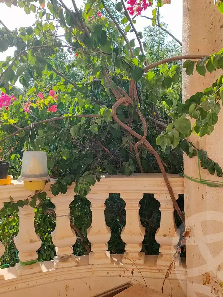 https://aqarmap.com.eg/en/listing/5676657-for-sale-alexandria-alexandria-marsa-matrouh-rd