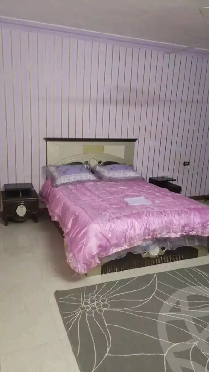 https://aqarmap.com.eg/en/listing/5679211-for-rent-cairo-faisal