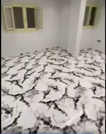 https://aqarmap.com.eg/en/listing/5679813-for-sale-alexandria-l-jmy-lbytsh-al-kaada-st