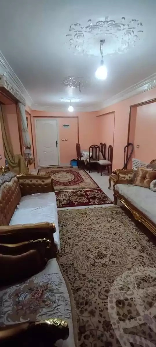 https://aqarmap.com.eg/en/listing/5681043-for-sale-alexandria-l-jmy-lbytsh-el-hanafeya-st