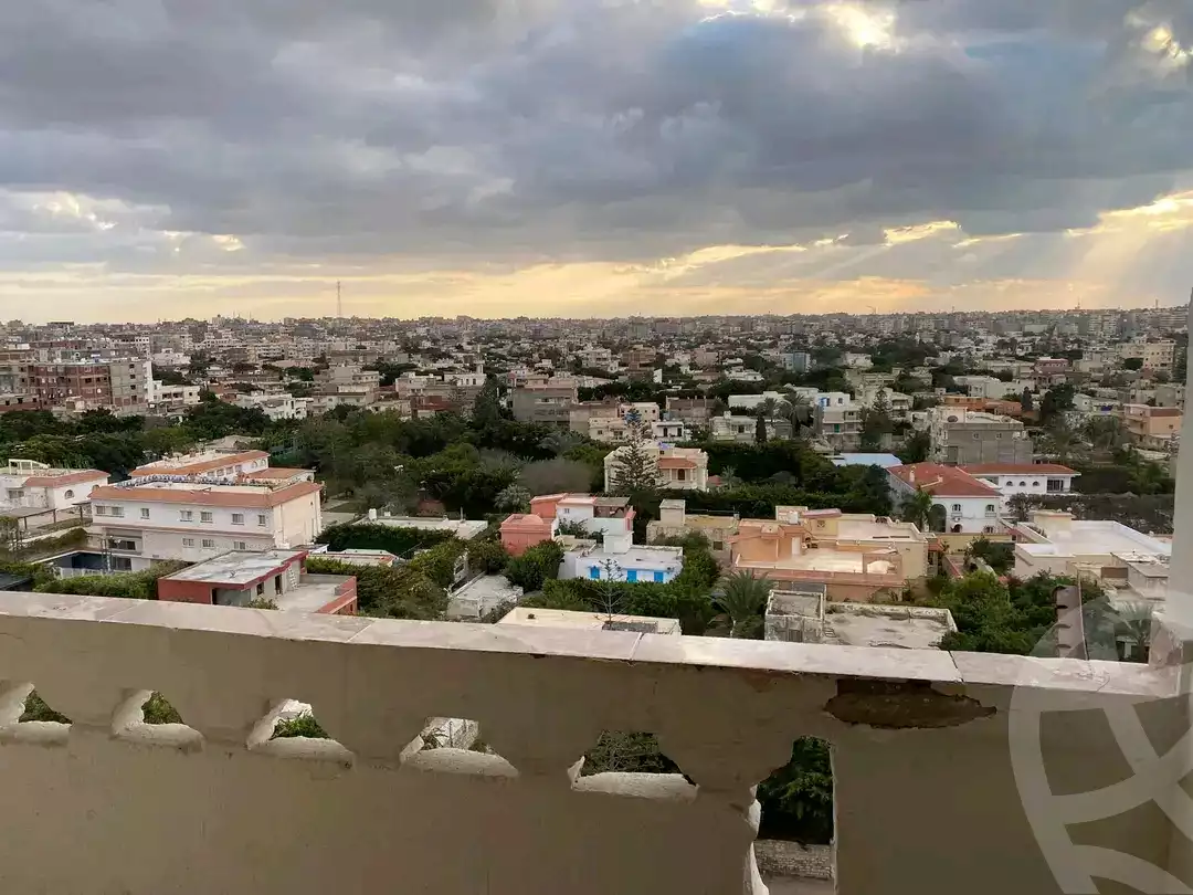 https://aqarmap.com.eg/en/listing/5681541-for-sale-alexandria-l-jmy-lbytsh-el-hanafeya-st