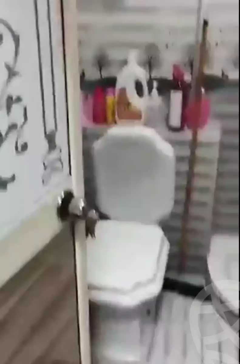 https://aqarmap.com.eg/ar/listing/5687003-for-sale-alexandria-l-jmy-shataa-el-nakheel