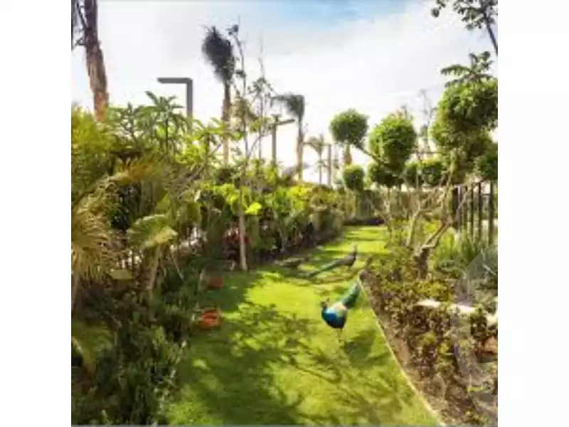 https://aqarmap.com.eg/en/listing/5689209-for-sale-cairo-el-sheikh-zayed-city-compounds-walk-of-cairo-mall