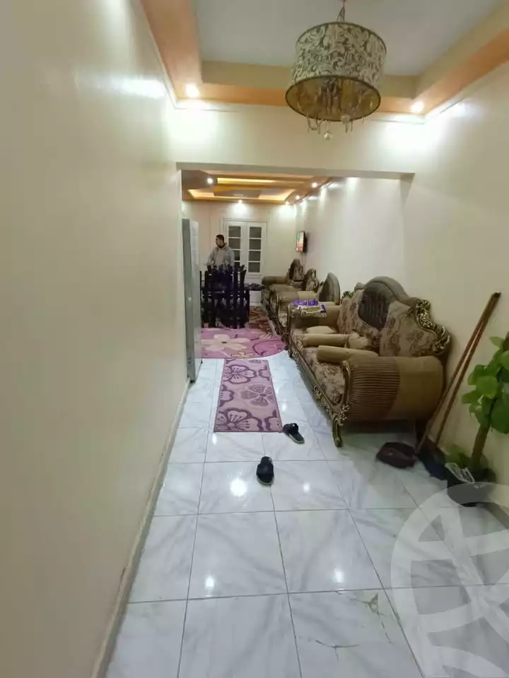 https://aqarmap.com.eg/ar/listing/5690148-for-sale-alexandria-l-jmy-shataa-el-nakheel-street-21