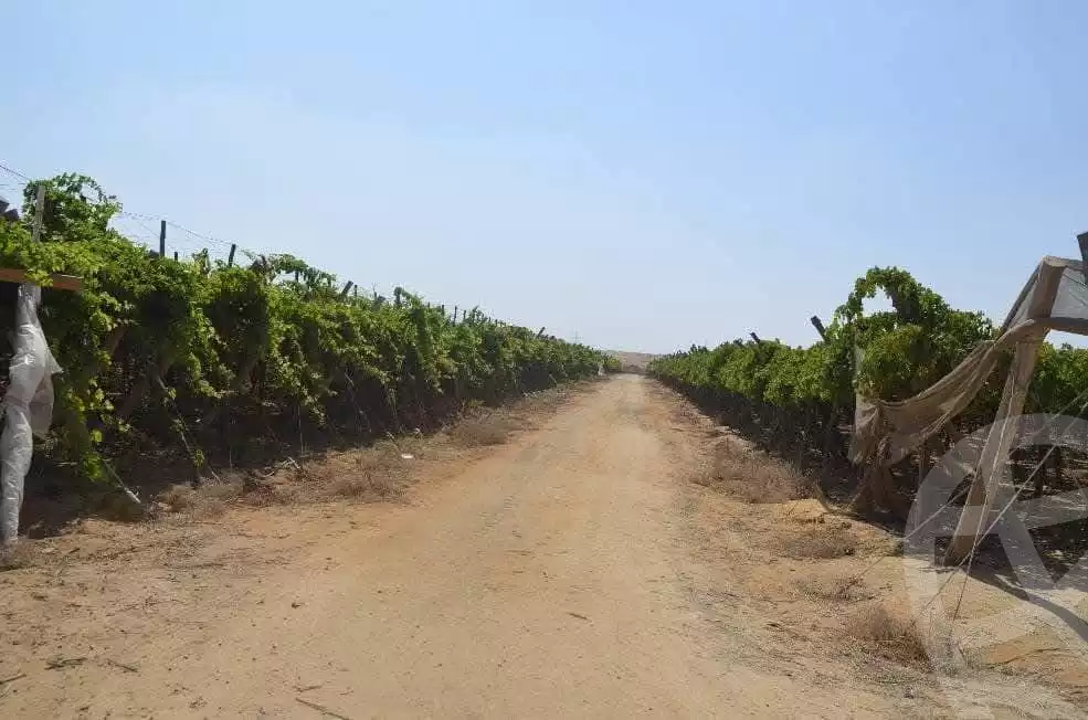 https://aqarmap.com.eg/en/listing/5699259-for-sale-beheira-wadi-el-natrun