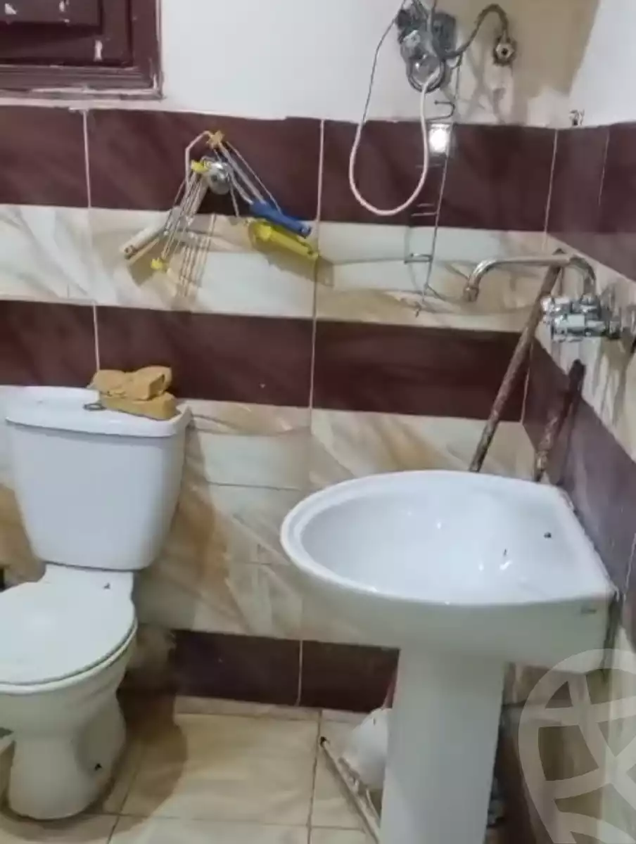 https://aqarmap.com.eg/en/listing/5699287-for-rent-alexandria-l-jmy-lbytsh-el-bostan-st