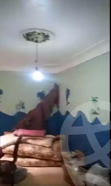 https://aqarmap.com.eg/en/listing/5701014-for-sale-alexandria-l-jmy-bw-ywsf