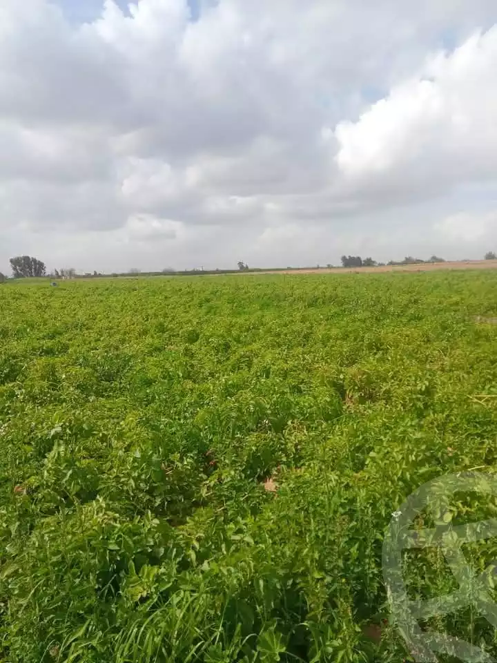 https://aqarmap.com.eg/ar/listing/5703536-for-sale-beheira-badr