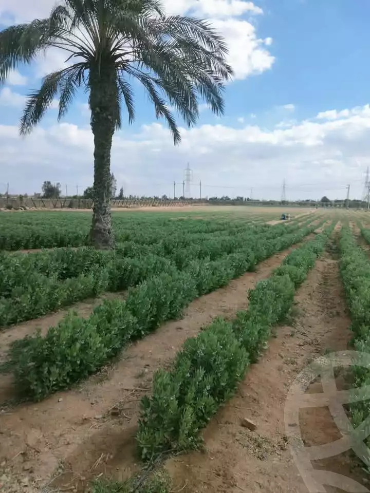 https://aqarmap.com.eg/ar/listing/5703536-for-sale-beheira-badr