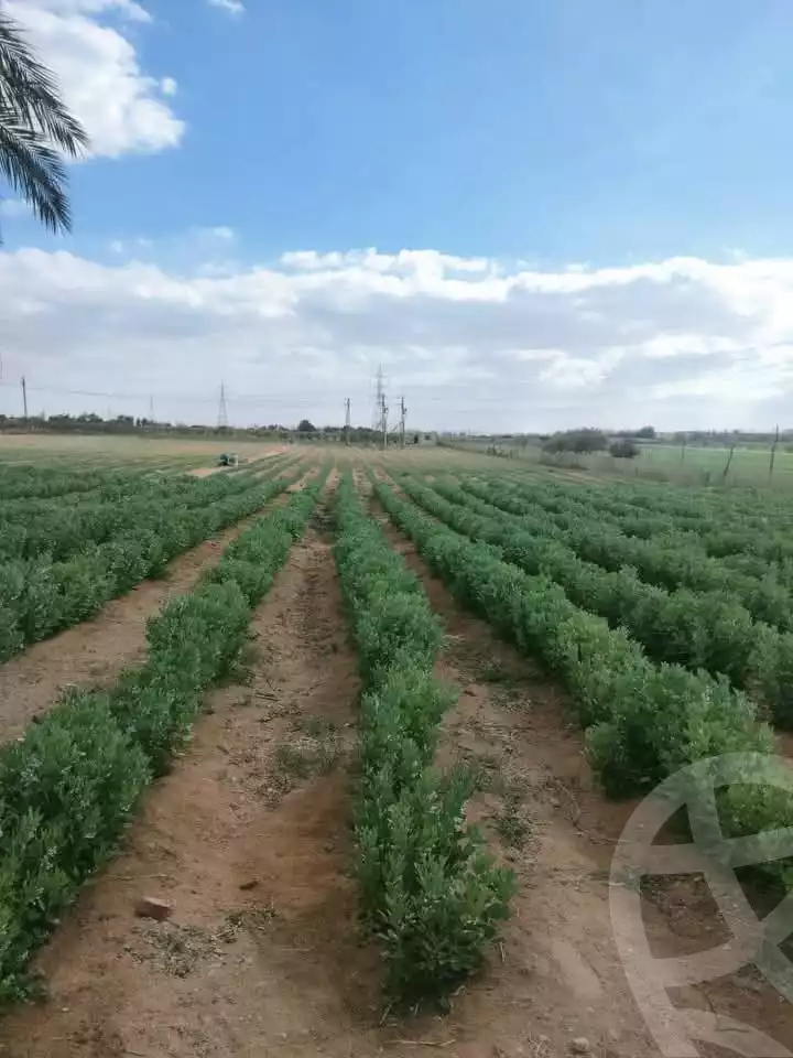 https://aqarmap.com.eg/ar/listing/5703536-for-sale-beheira-badr