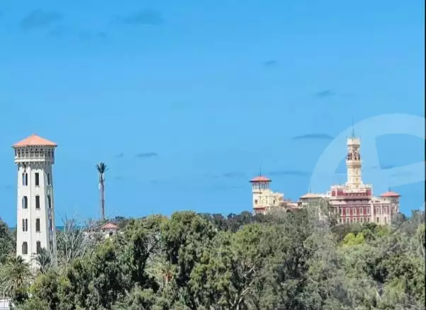 https://aqarmap.com.eg/en/listing/5706988-for-sale-alexandria-el-mandara-nabawy-al-mohandes-st