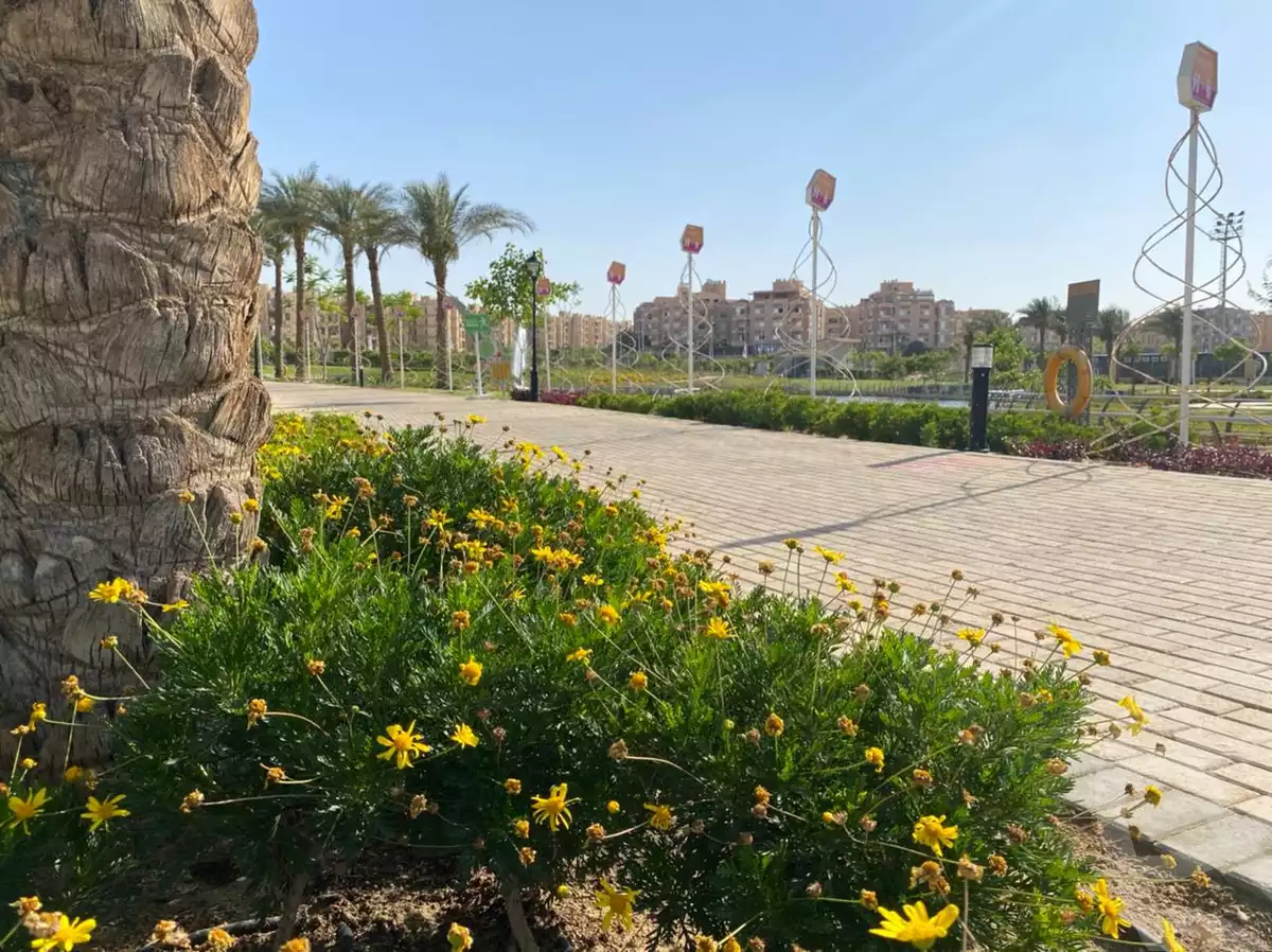 https://aqarmap.com.eg/ar/listing/5707665-for-sale-cairo-el-sheikh-zayed-city-compounds-zyd-wr-llttwyr-z-tower