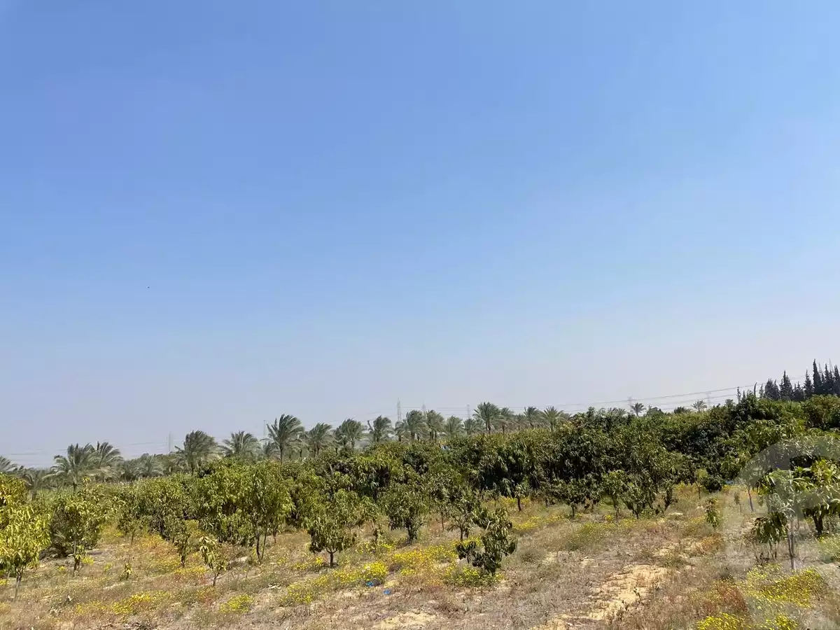 https://aqarmap.com.eg/en/listing/5716551-for-sale-cairo-el-sheikh-zayed-city-alex-cairo-desert-road-mntq-fr-y-btryq-skndryh-lshrwy