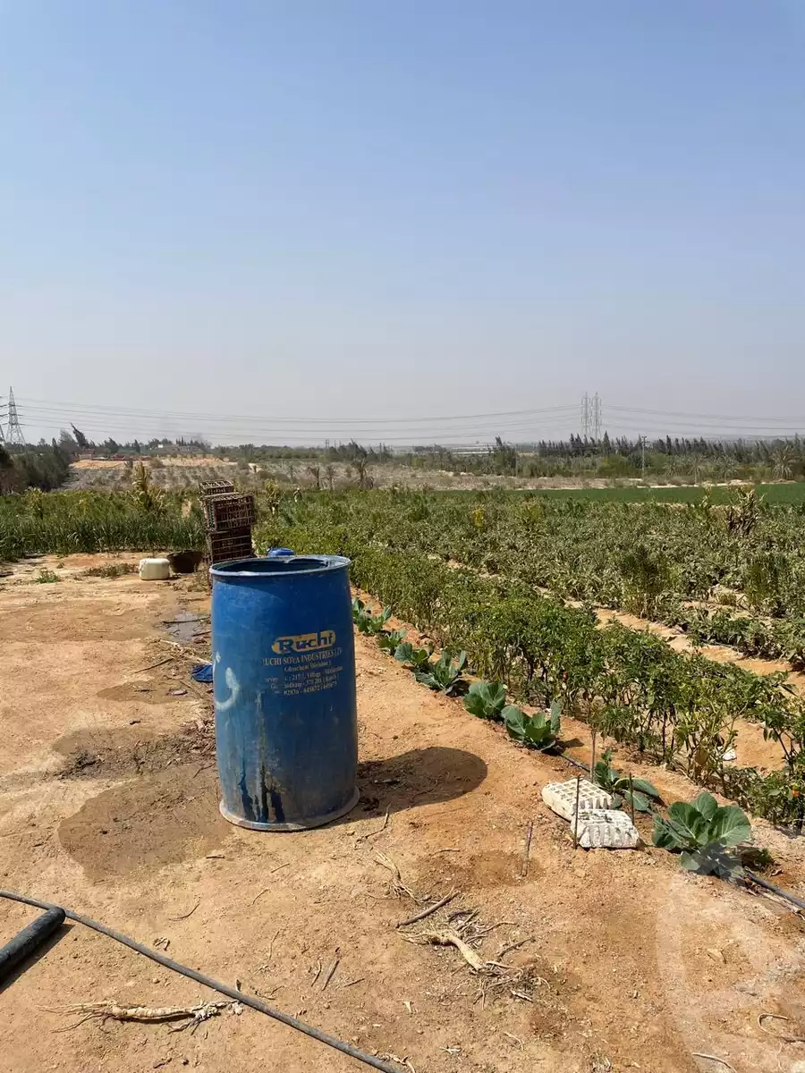 https://aqarmap.com.eg/en/listing/5716551-for-sale-cairo-el-sheikh-zayed-city-alex-cairo-desert-road-mntq-fr-y-btryq-skndryh-lshrwy