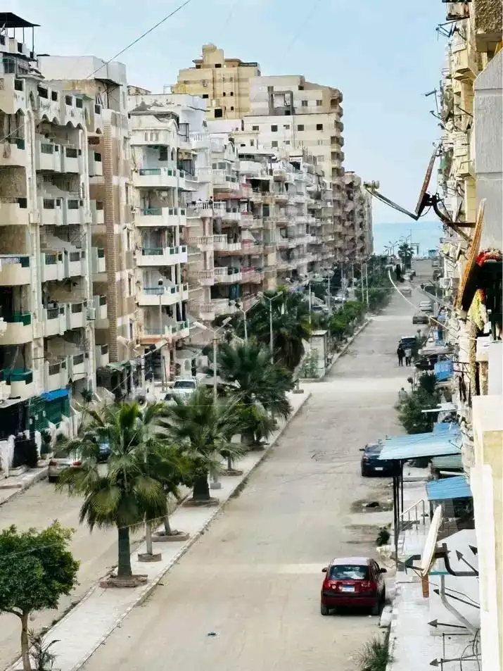 https://aqarmap.com.eg/en/listing/5718405-for-sale-alexandria-l-jmy-shataa-el-nakheel