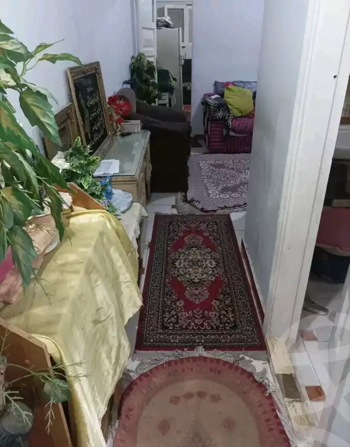 https://aqarmap.com.eg/ar/listing/5720021-for-sale-alexandria-lsywf
