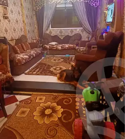 https://aqarmap.com.eg/en/listing/5722266-for-sale-alexandria-alhadara-new-el-hadra-al-sadat-st