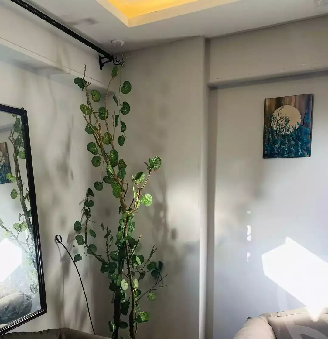 https://aqarmap.com.eg/ar/listing/5723669-for-sale-alexandria-l-jmy-lbytsh-bianchiii