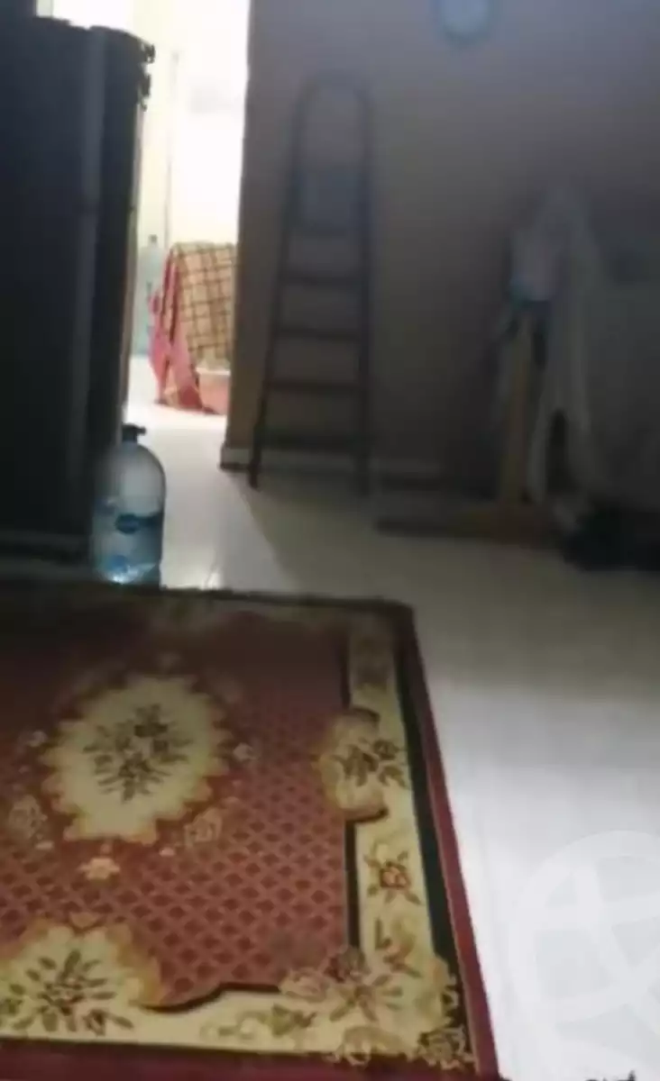 https://aqarmap.com.eg/ar/listing/5726347-for-sale-cairo-ain-shams-ahmed-esmat-st