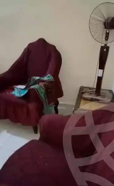 https://aqarmap.com.eg/en/listing/5735686-for-rent-cairo-nasr-city-el-hay-el-thamin-el-taba