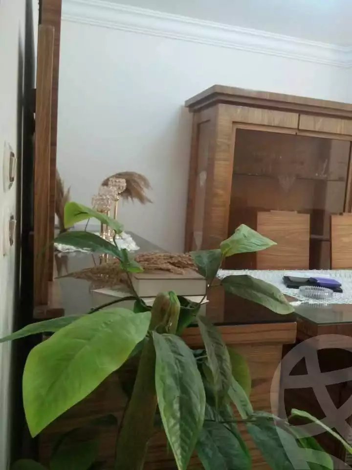 https://aqarmap.com.eg/ar/listing/5735794-for-sale-alexandria-l-jmy-el-hanouvel-amin-eshak-st