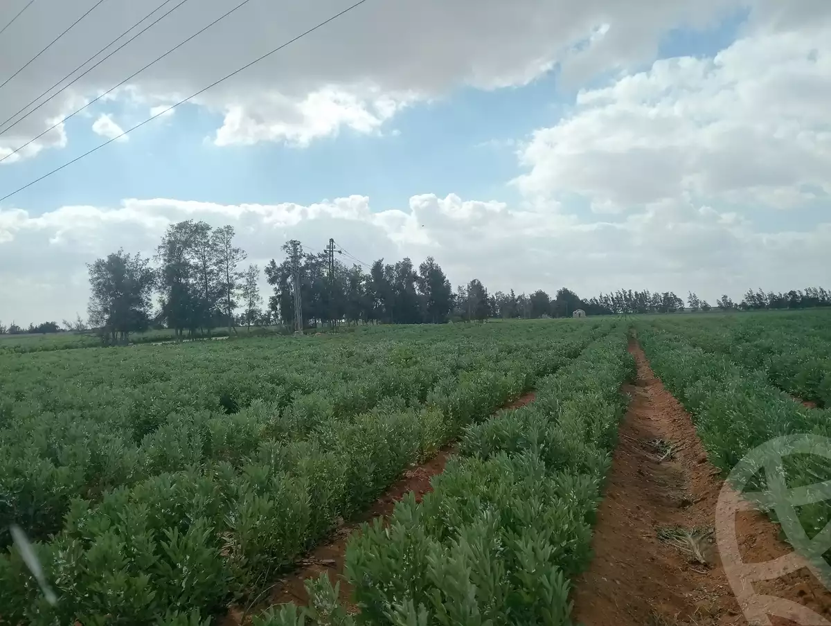 https://aqarmap.com.eg/ar/listing/5739046-for-sale-alexandria-cairo-alexandria-desert-road