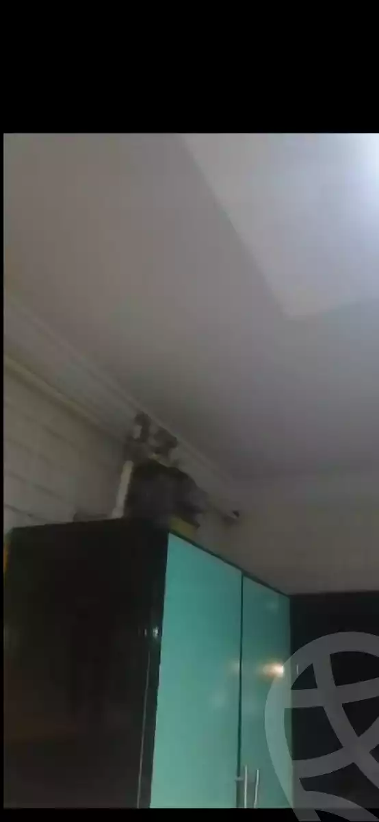 https://aqarmap.com.eg/en/listing/5743844-for-sale-cairo-el-zaytun-lzytwn-lshrqy-toman-bai-st