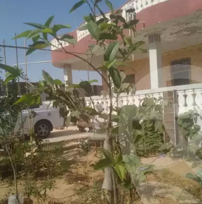 https://aqarmap.com.eg/en/listing/5744006-for-sale-marsa-matruh-marsa-matrouh-city