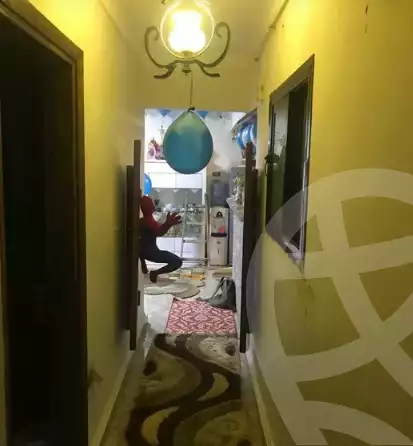 https://aqarmap.com.eg/en/listing/5744816-for-sale-alexandria-lsywf