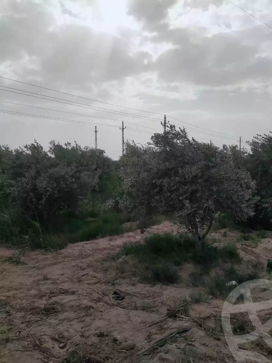 https://aqarmap.com.eg/en/listing/5745190-for-sale-el-fayoum-yousef-el-sedeeq-karoun
