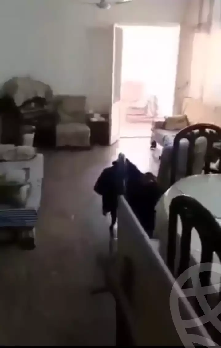 https://aqarmap.com.eg/en/listing/5746461-for-sale-alexandria-l-jmy-lbytsh-el-hanafeya-st