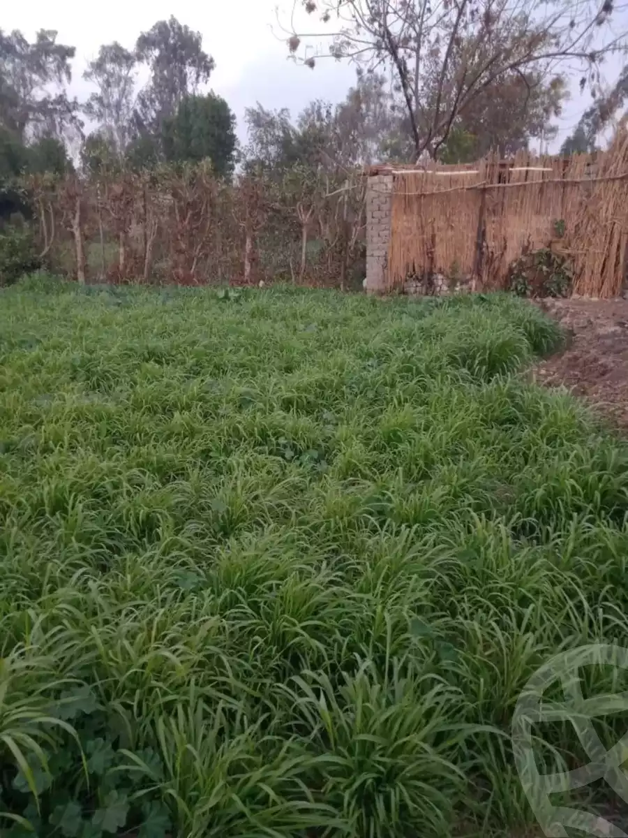 https://aqarmap.com.eg/en/listing/5748640-for-sale-cairo-ljyz-wsym-el-barajil