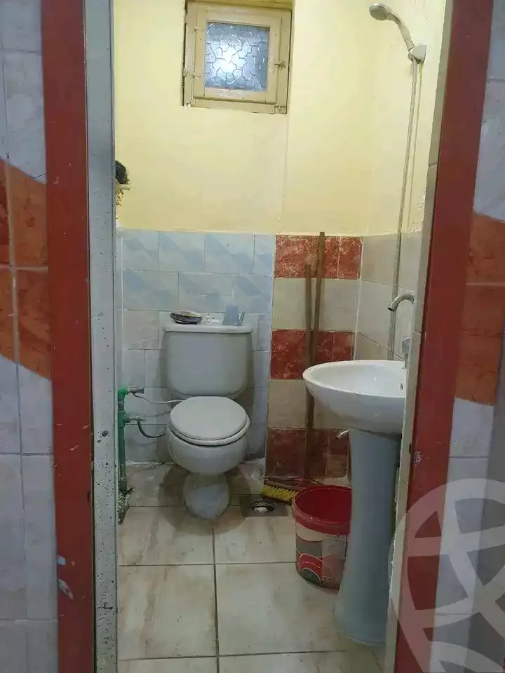 https://aqarmap.com.eg/en/listing/5748797-for-rent-alexandria-lsywf