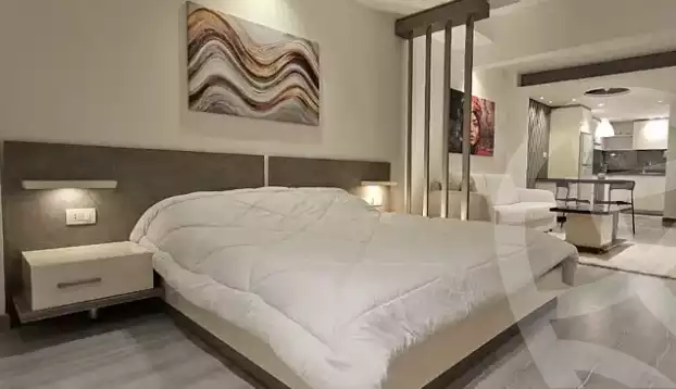 https://aqarmap.com.eg/en/listing/5749951-for-rent-cairo-al-zamalek