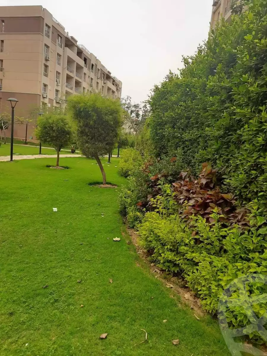 https://aqarmap.com.eg/en/listing/5751922-for-rent-cairo-new-cairo-madinaty-seventh-zone-buildings-mdynty-by-7