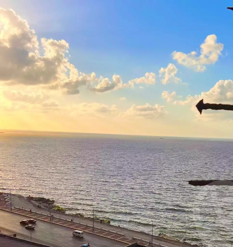 https://aqarmap.com.eg/ar/listing/5761083-for-sale-alexandria-camp-cesar-el-gaish-rd
