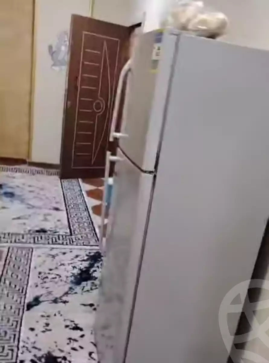 https://aqarmap.com.eg/ar/listing/5767483-for-sale-alexandria-l-jmy-lbytsh-el-hanafeya-st