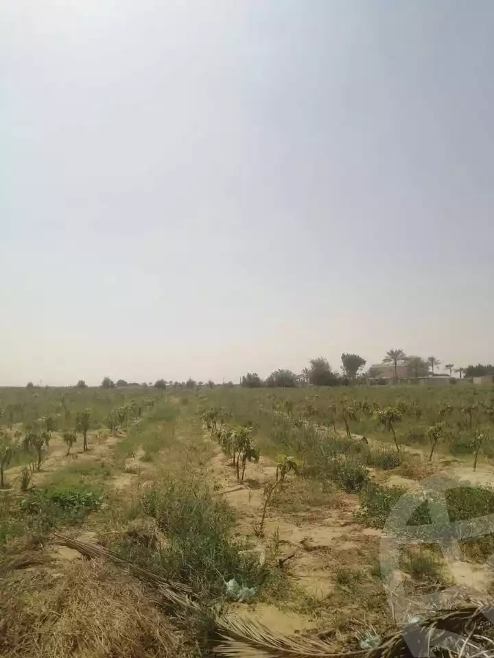 https://aqarmap.com.eg/en/listing/5768482-for-sale-alexandria-cairo-alexandria-desert-road