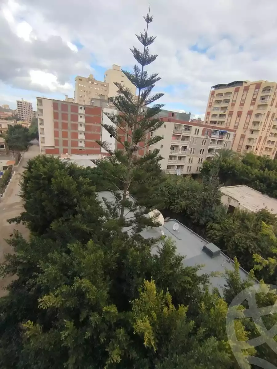 https://aqarmap.com.eg/en/listing/5769855-for-sale-alexandria-l-jmy-lbytsh-bianchiii
