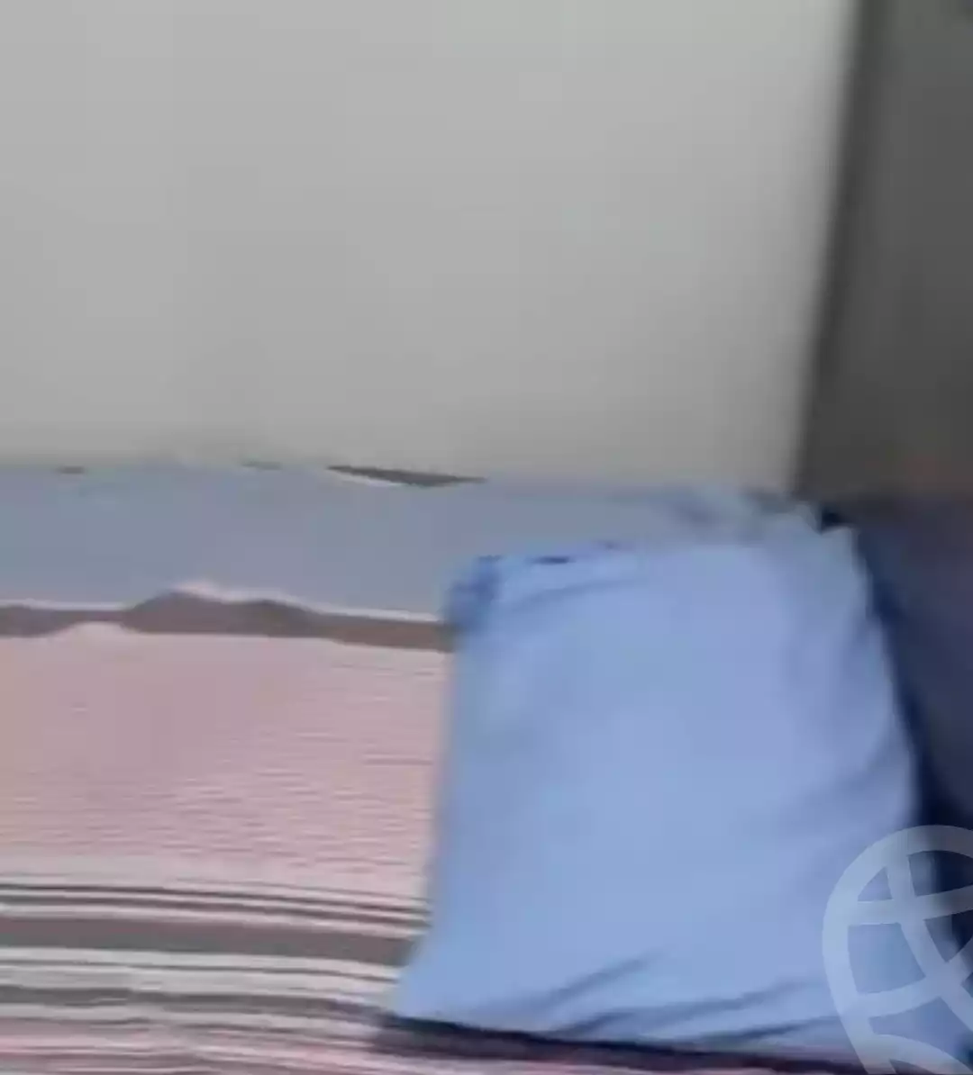 https://aqarmap.com.eg/en/listing/5772984-for-rent-sharqia-zagazig