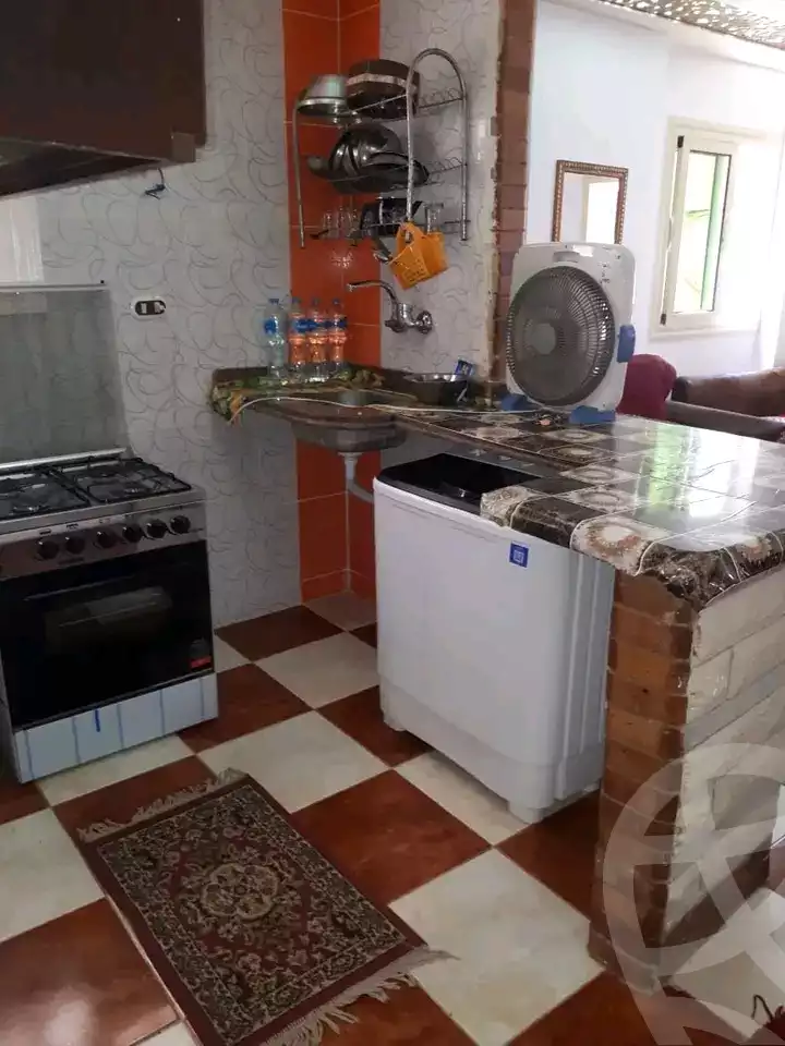 https://aqarmap.com.eg/en/listing/5771589-for-rent-alexandria-l-jmy-shataa-el-nakheel