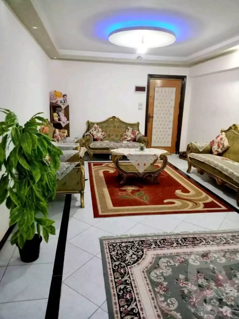 https://aqarmap.com.eg/en/listing/5776395-for-sale-alexandria-l-jmy-bw-ywsf