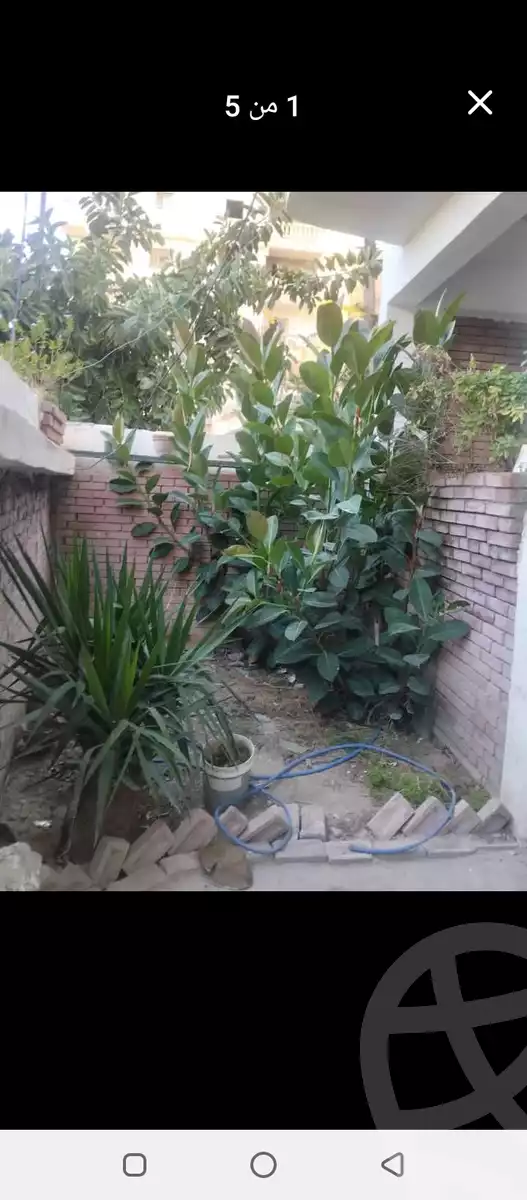 https://aqarmap.com.eg/en/listing/5776423-for-sale-alexandria-l-jmy-el-hanouvel-al-asdakaa-st