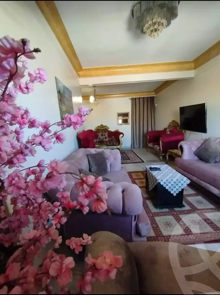 https://aqarmap.com.eg/en/listing/5778667-for-rent-cairo-heliopolis-el-mahkama-square-el-hegaz-st
