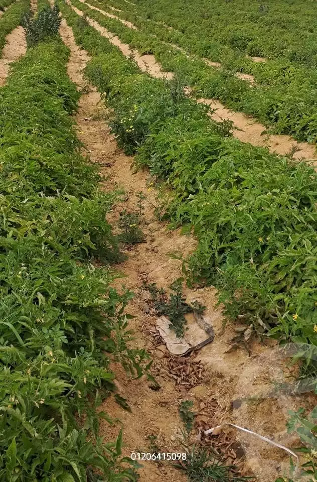 https://aqarmap.com.eg/en/listing/5779497-for-sale-alexandria-cairo-alexandria-desert-road
