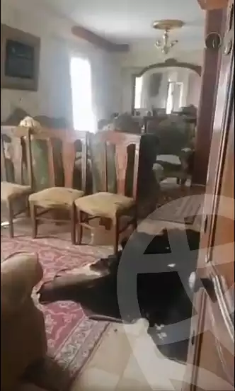 https://aqarmap.com.eg/en/listing/5781038-for-sale-alexandria-l-jmy-lbytsh-shahr-al-assal-st