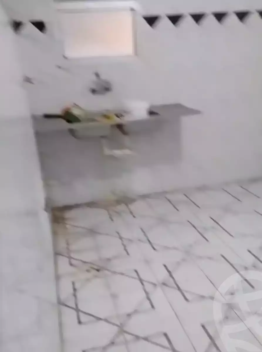 https://aqarmap.com.eg/en/listing/5790636-for-sale-alexandria-l-jmy-el-hanouvel-el-shaheed-ahmed-hamdy-st