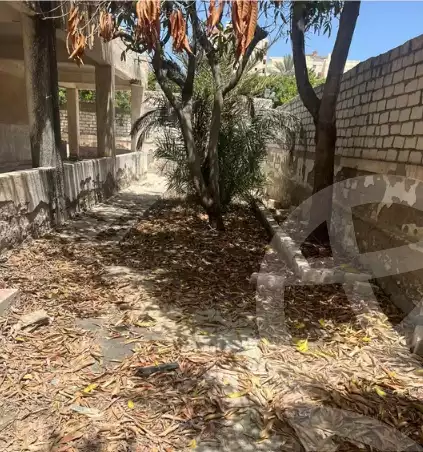 https://aqarmap.com.eg/en/listing/5790673-for-sale-alexandria-l-jmy-bw-ywsf