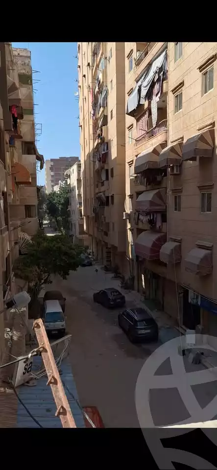 https://aqarmap.com.eg/en/listing/5801548-for-sale-alexandria-l-jmy-lbytsh-el-hanafeya-st